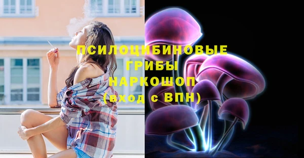 соль ск Бугульма