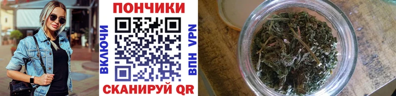 Шишки марихуана семена  купить наркоту  Кизел 